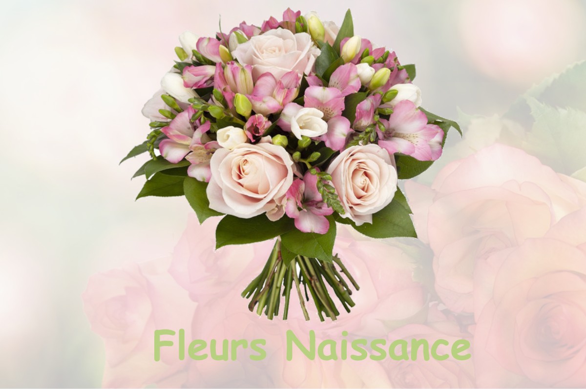 fleurs naissance ORLEANS