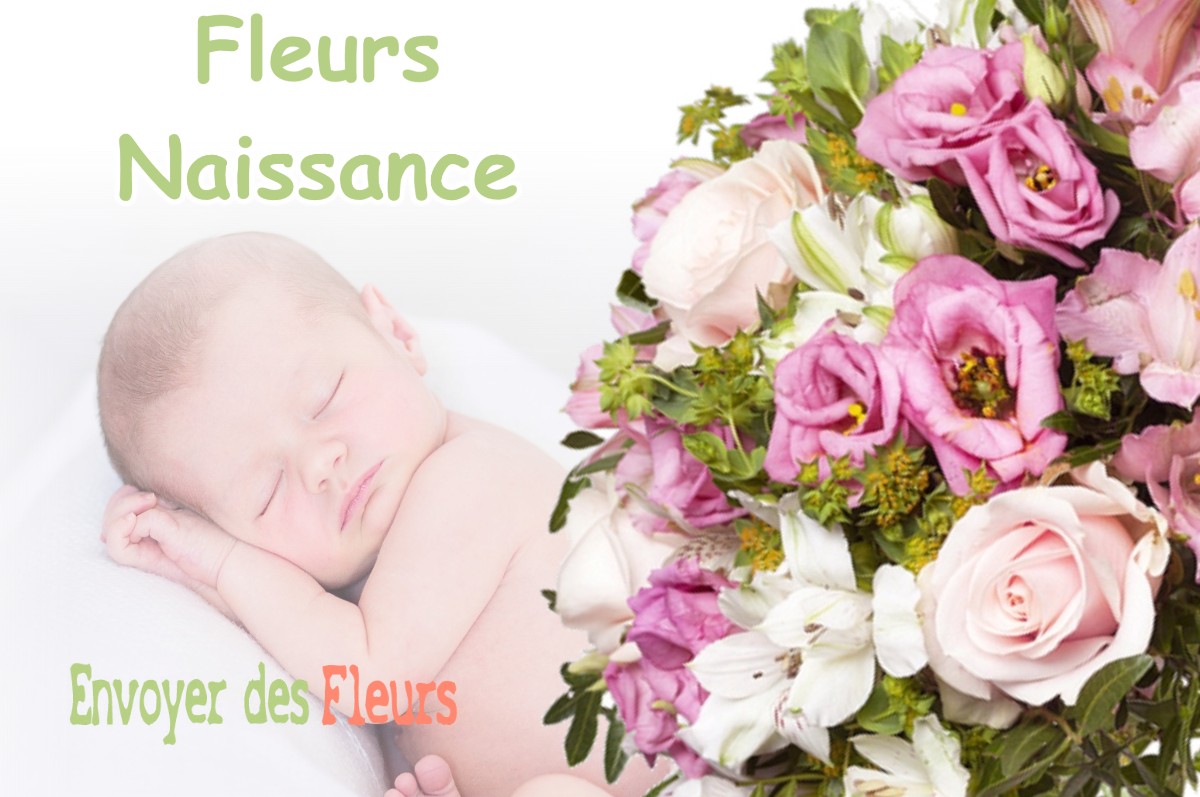 lIVRAISON FLEURS NAISSANCE à ORLEANS